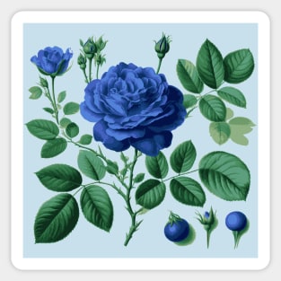 Blue rose Sticker